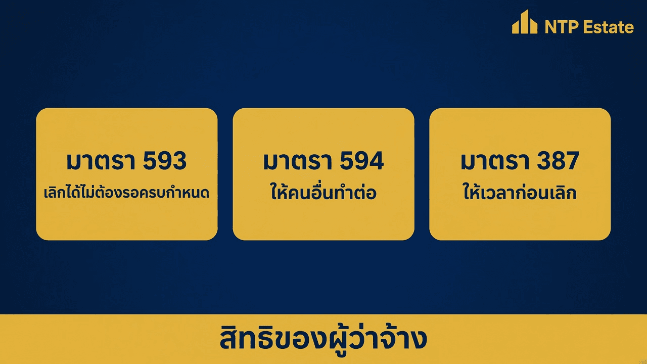 อินโฟกราฟิกสิทธิของผู้ว่าจ้าง มาตรา 593 เลิกได้ไม่ต้องรอครบกำหนด มาตรา 594 ให้คนอื่นทำต่อ มาตรา 387 ให้เวลาก่อนเลิก โดย NTP Estate