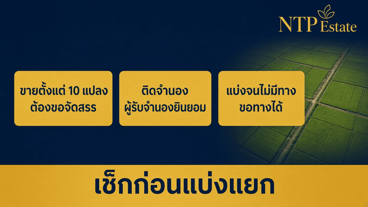 อินโฟกราฟิกเช็กก่อนแบ่งแยก ขายตั้งแต่ 10 แปลงต้องขอจัดสรร ติดจำนองผู้รับจำนองยินยอม แบ่งจนไม่มีทางขอทางได้ โดย NTP Estate