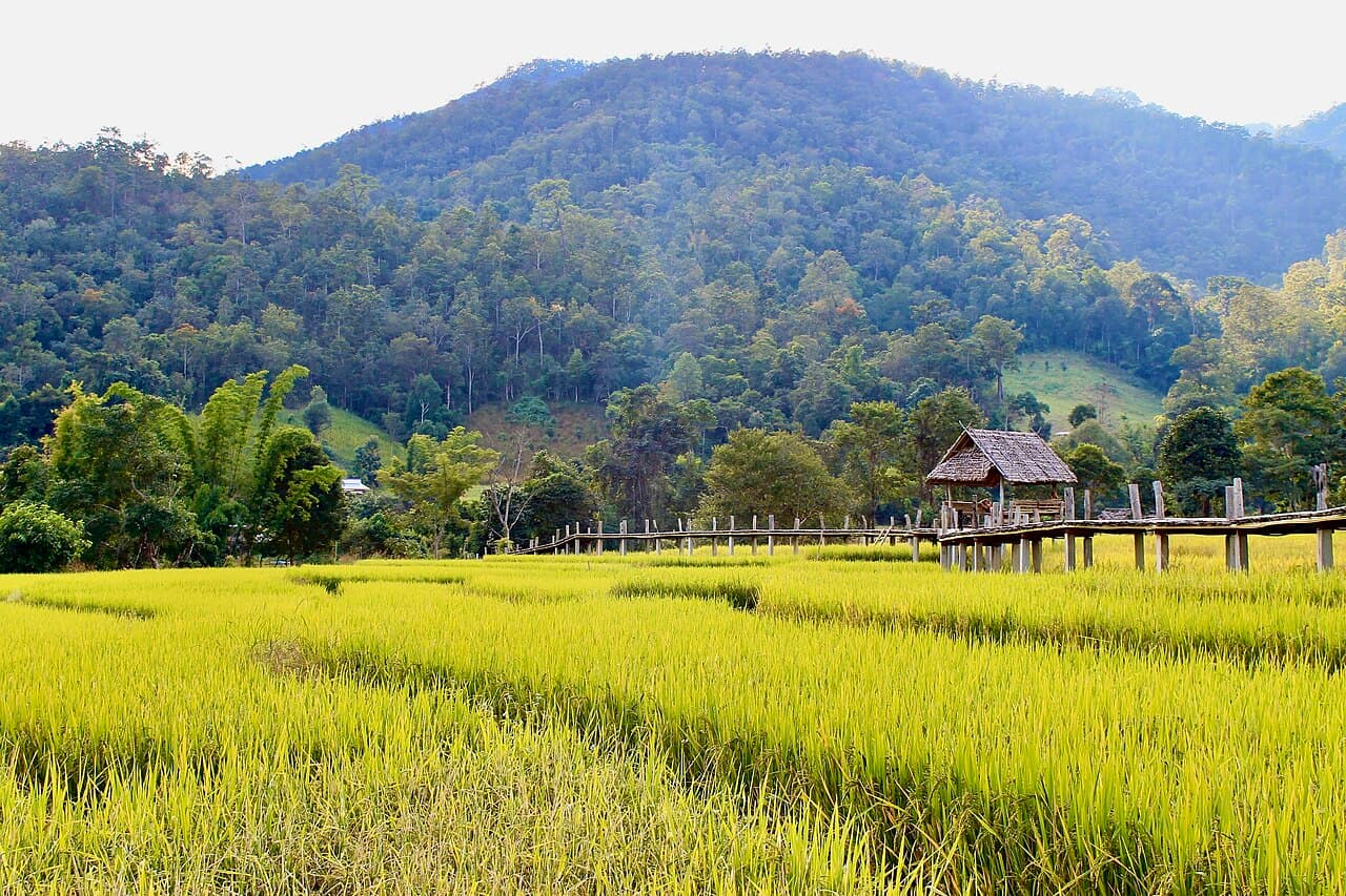 ที่ดิน